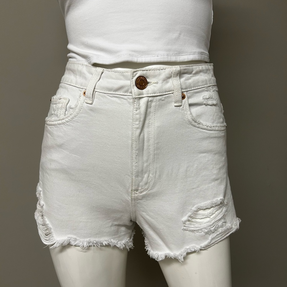 Festival Shorts